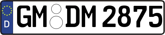 GM-DM2875
