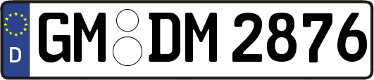 GM-DM2876
