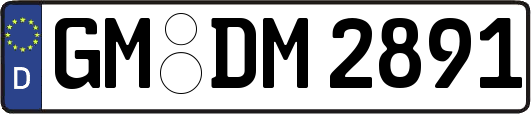 GM-DM2891