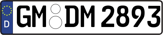 GM-DM2893