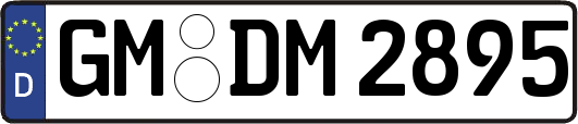 GM-DM2895