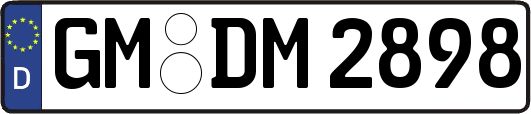 GM-DM2898