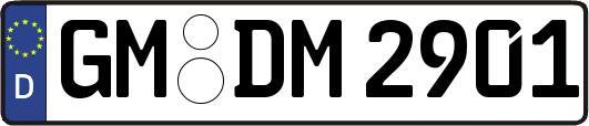 GM-DM2901