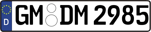 GM-DM2985