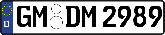 GM-DM2989