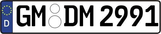 GM-DM2991