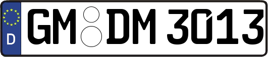 GM-DM3013