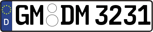 GM-DM3231
