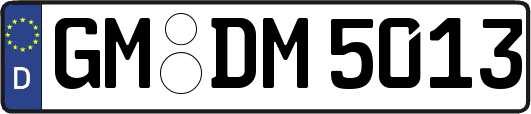 GM-DM5013