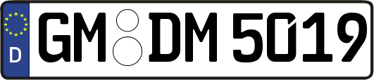 GM-DM5019