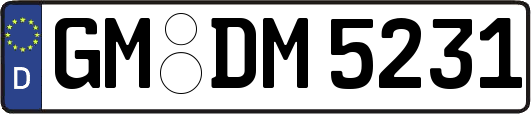 GM-DM5231