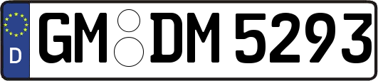 GM-DM5293