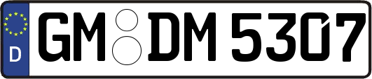 GM-DM5307