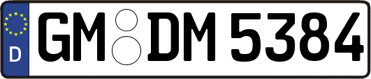 GM-DM5384