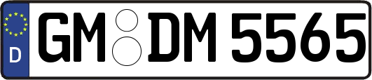 GM-DM5565