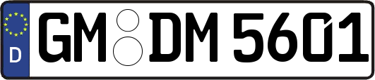 GM-DM5601