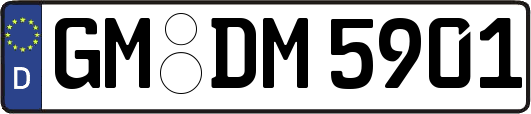 GM-DM5901