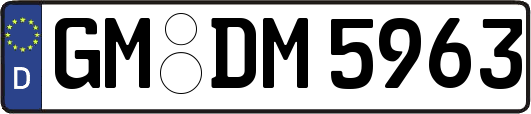 GM-DM5963