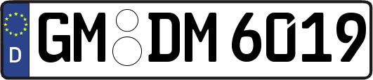 GM-DM6019