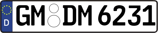 GM-DM6231