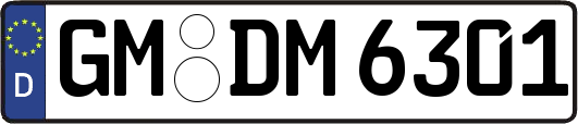 GM-DM6301