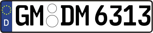 GM-DM6313