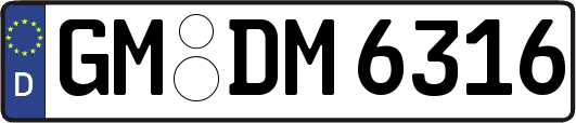 GM-DM6316