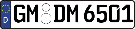GM-DM6501
