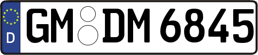 GM-DM6845