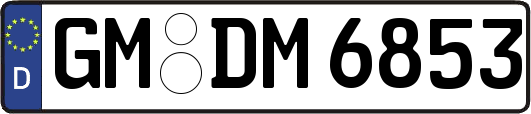 GM-DM6853
