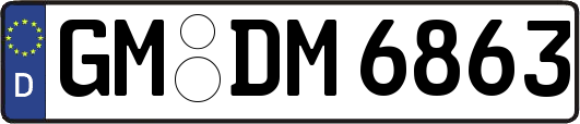 GM-DM6863