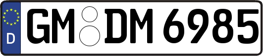 GM-DM6985
