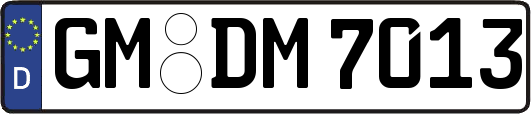 GM-DM7013