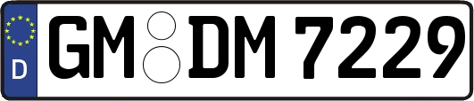 GM-DM7229