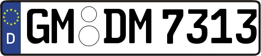 GM-DM7313