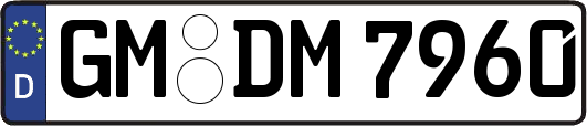 GM-DM7960