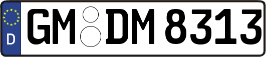 GM-DM8313