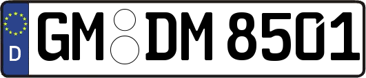 GM-DM8501