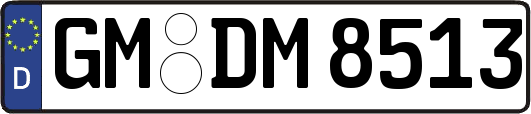 GM-DM8513