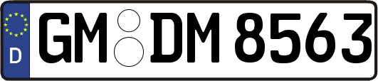 GM-DM8563