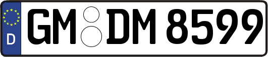 GM-DM8599
