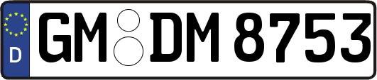 GM-DM8753