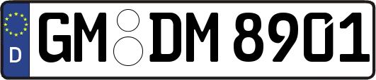 GM-DM8901