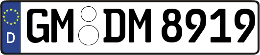GM-DM8919