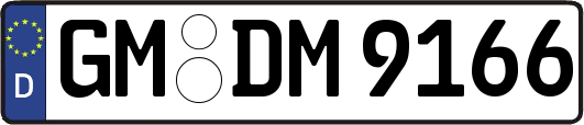 GM-DM9166