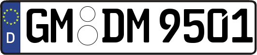 GM-DM9501