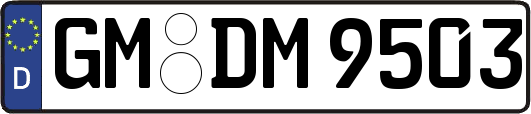 GM-DM9503