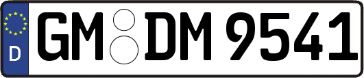 GM-DM9541