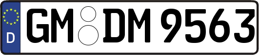 GM-DM9563