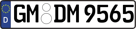 GM-DM9565